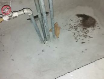 大理卫生间测漏水价格明细